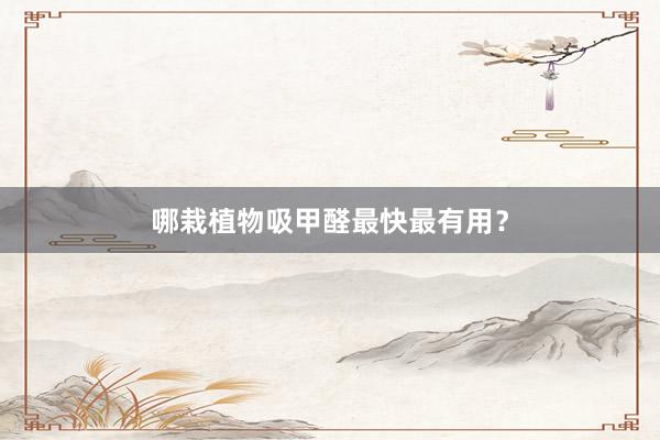 哪栽植物吸甲醛最快最有用?